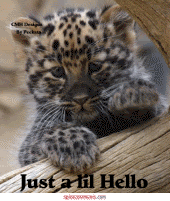 th_m_78d421ac17bf4f8ea6da0f8dc6d3732f.gif